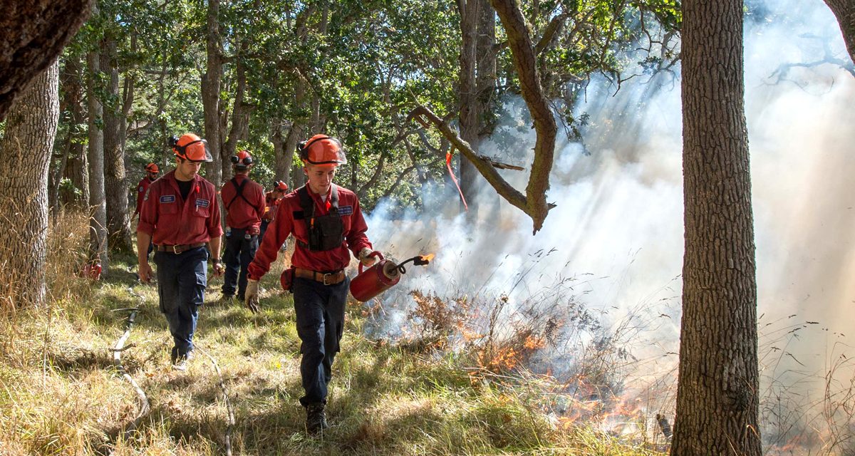 Rocky Point prescribed burn