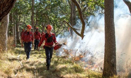 Rocky Point prescribed burn