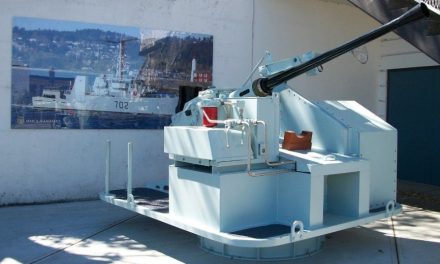 Big guns find new life