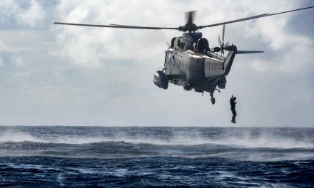 Farewell to the King!