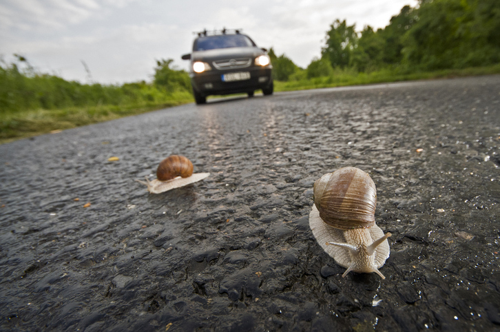 What drives me crazy? Snails in the left lane