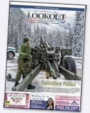 Lookout cover