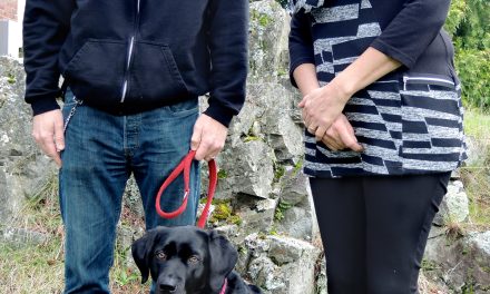 GoFundMe launched for PTSD sufferers’ treatment program