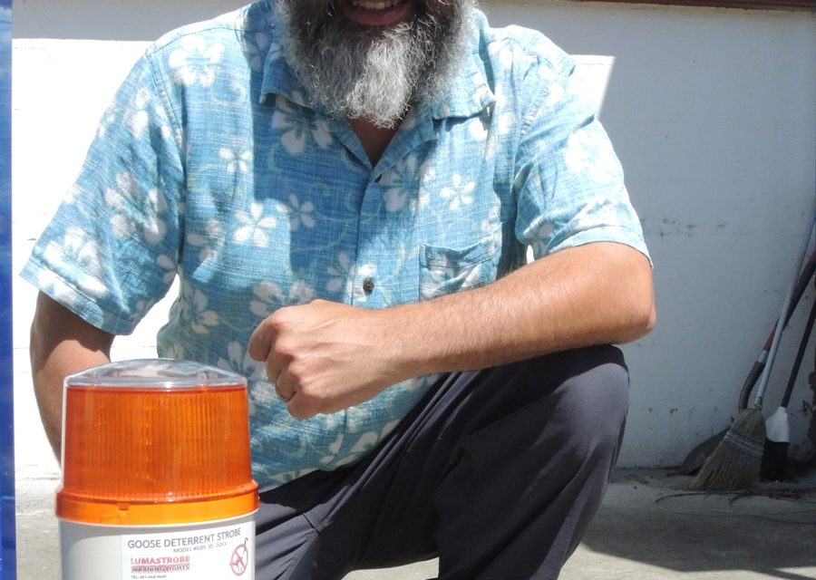 Geese deterrent goes green