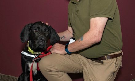 Missie to the rescue