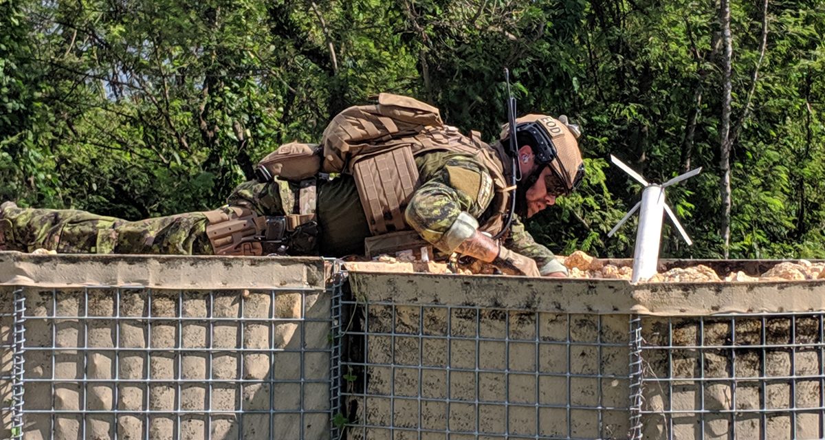 Clearance divers tackle Hydracrab