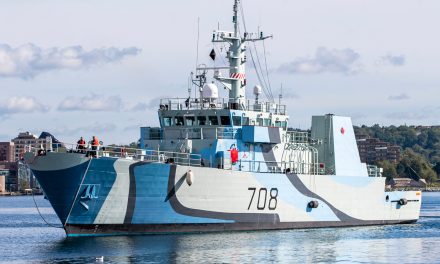 Warships bedazzle in Second World War paint pattern