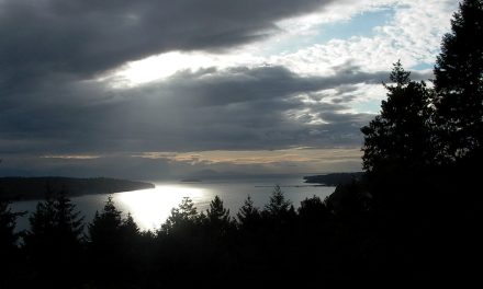 Quick response saves canoeists