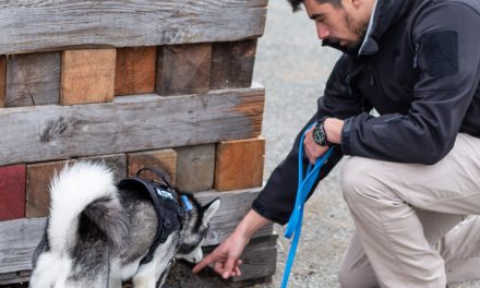 NDWCC profile: Search and Recovery Dog Association