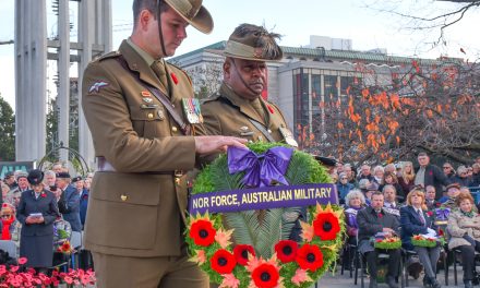 Exercise Northern Lights 2019 – cross training with the Australians