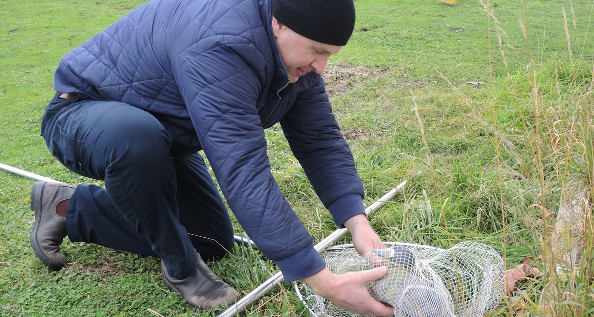 Slick training – caring for oil soaked birds