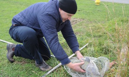 Slick training – caring for oil soaked birds