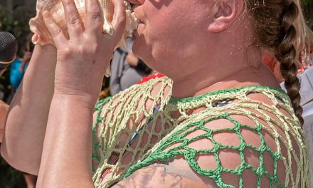 Sailor shells out top honours