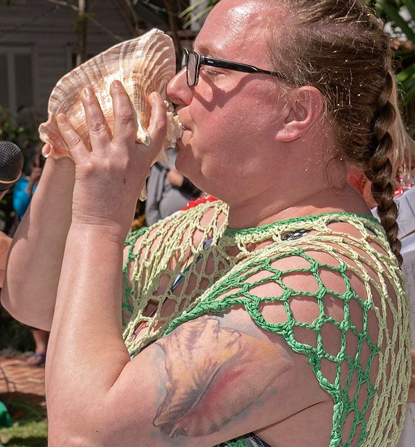 Sailor shells out top honours