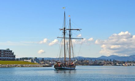 Cadets SALTy sailing adventure