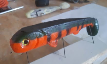 Sailor lures in the ones that got away