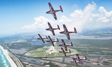 Watch for Snowbirds flyby salute this week