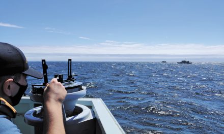 Orcas back to training at sea