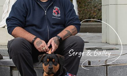 Operation Freedom Paws