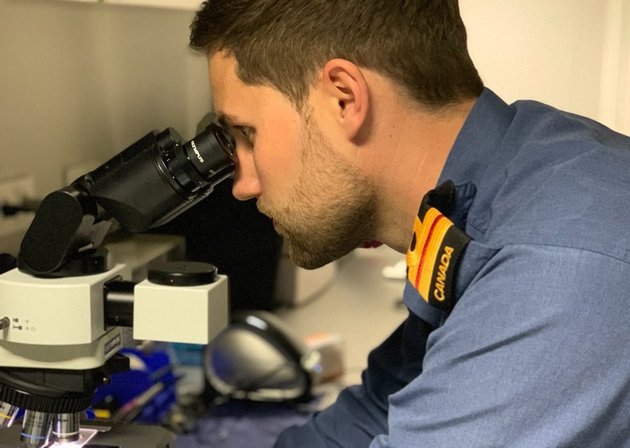 Force Preservation and Generation in a Pandemic