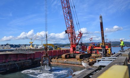 Esquimalt Harbour remediation project reaches major milestone