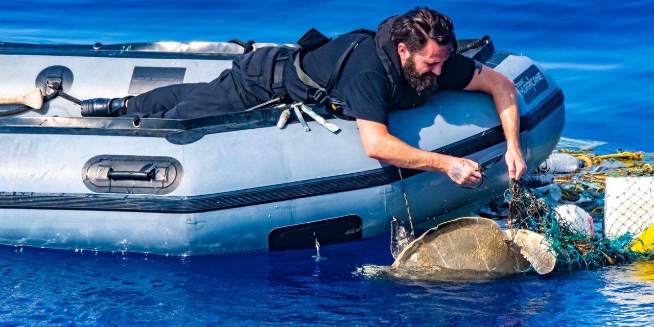 HMCS Calgary saves sea turtle