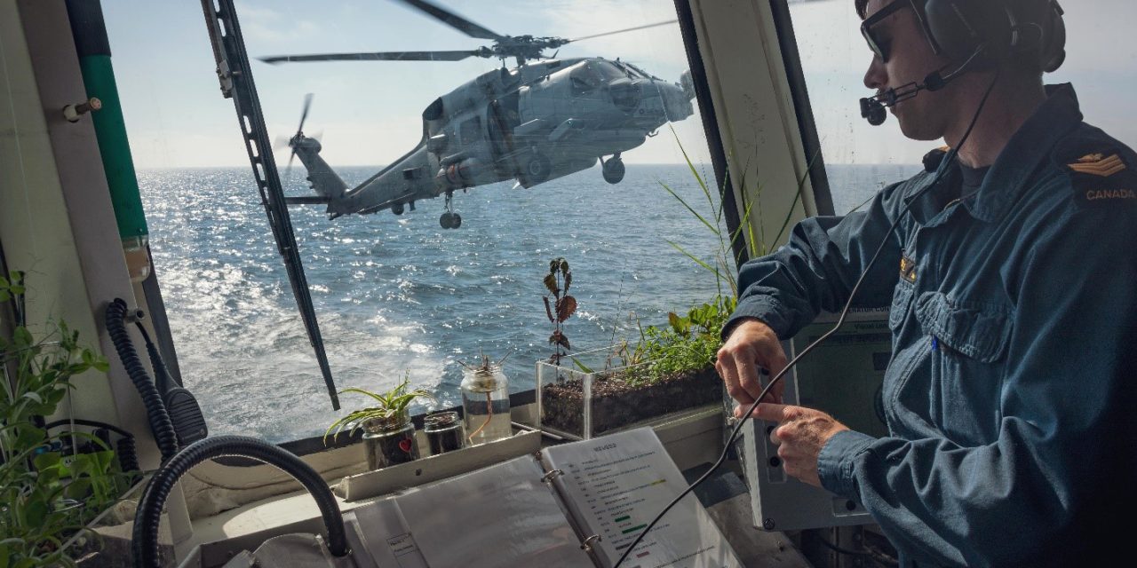 Annual multinational training exercise underway in northern Europe