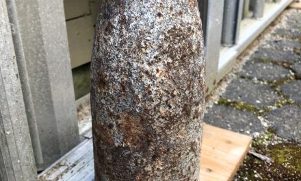 Clearance divers called to remove live ordnance