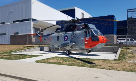 Seaking Becomes Gate Guardian