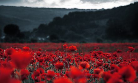 Seeking the families of Canadian Army soldiers missing in Korea