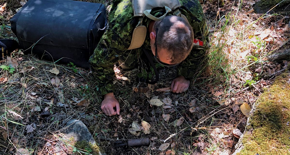 Decades old mortar at Fort Rodd Hill removed by military