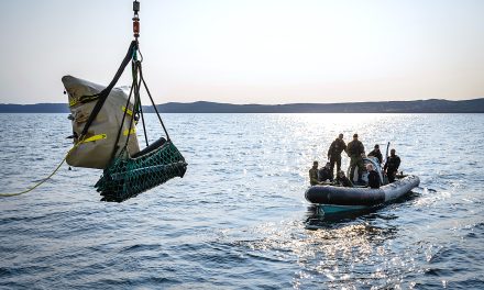 Newfoundland wrecks cleared of explosives