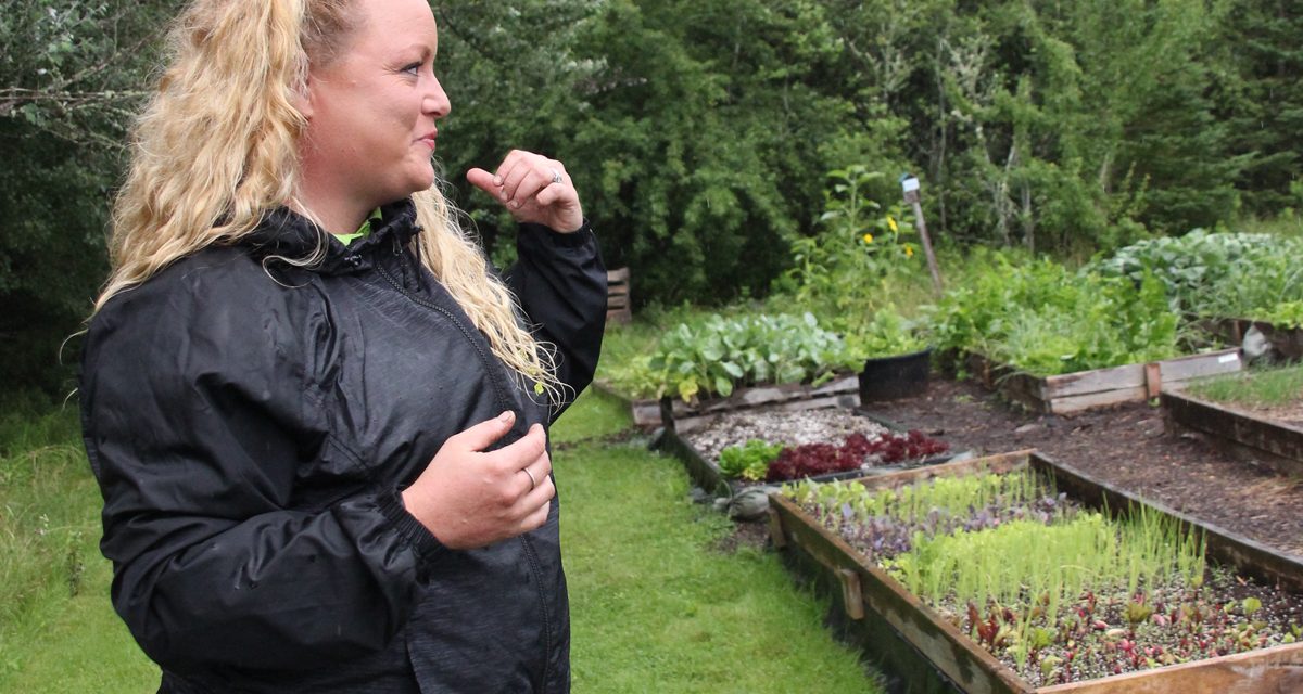 Veteran Farm Project: Healing through nature and nurture