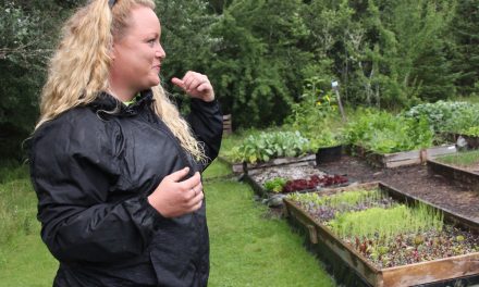 Veteran Farm Project: Healing through nature and nurture