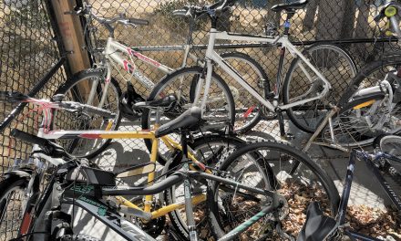 Derelict bike cleanup begins