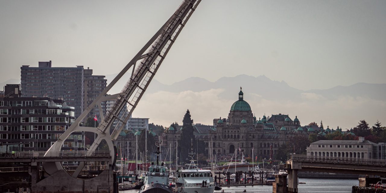 PCT Renard garners attention downtown