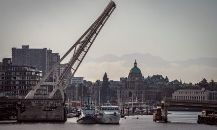 PCT Renard garners attention downtown