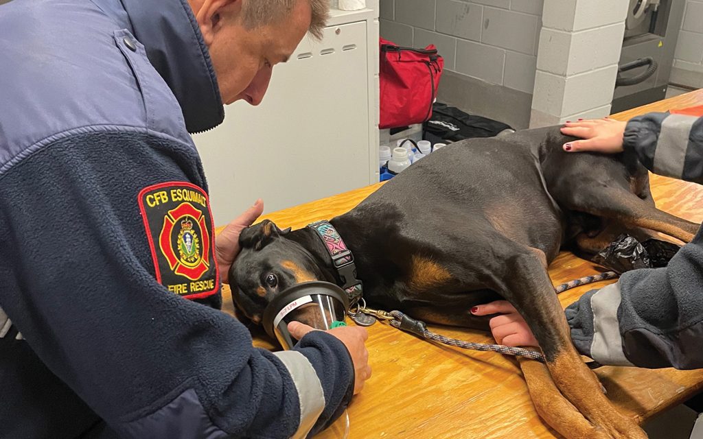 Firefighters ready for pet emergencies