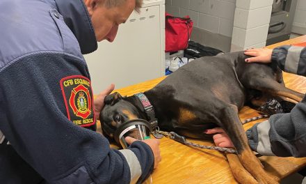 Firefighters ready for pet emergencies