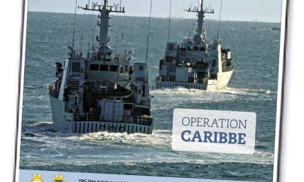 Volume 67, Issue 8, February 28, 2022