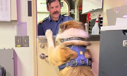 Defence team members spread ‘paws’-itivity for cause