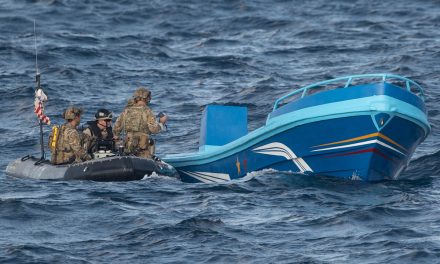 Putting the ‘why’ to the ‘how’: COPS II