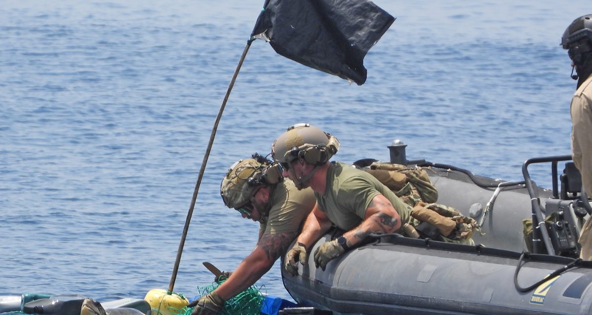 Sea turtle rescued by HMCS Edmonton during counter-narcotics patrols