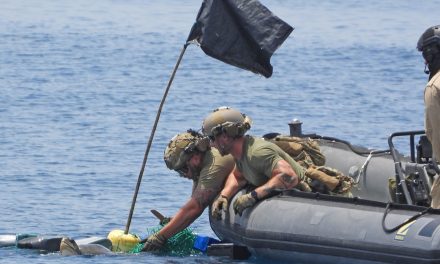 Sea turtle rescued by HMCS Edmonton during counter-narcotics patrols