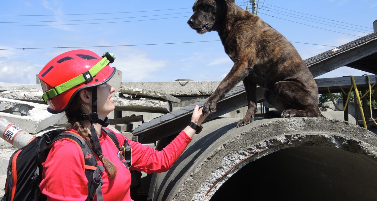 <strong>K9 team finds success in ‘Quake training</strong>