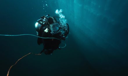 <strong>Une nouvelle cohorte de plongeurs-démineurs s’apprête à recevoir son diplôme</strong>