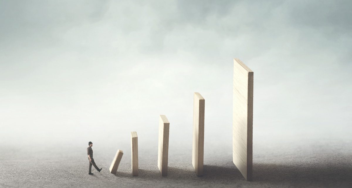 <strong>Les petites victoires du conseil</strong>