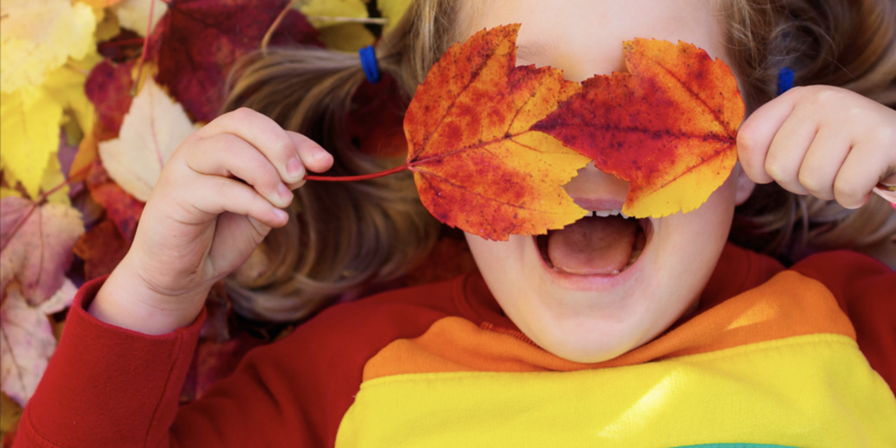 MFRC Activity Guide for Autumn 2023 is now available online