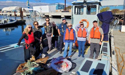 <strong>L’équipe de défense se rassemble pour le nettoyage du port</strong>