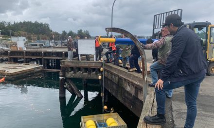 <strong>La POESB propose un cours de recyclage sur la lutte contre les déversements d’hydrocarbures</strong>